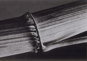 0017